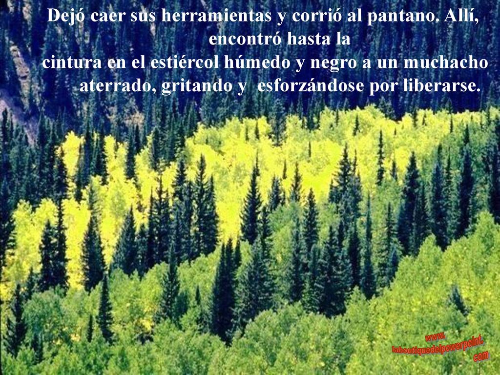 Dejó caer sus herramientas y corrió al pantano. Allí,