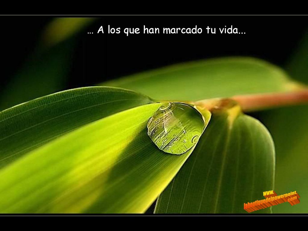… A los que han marcado tu vida...