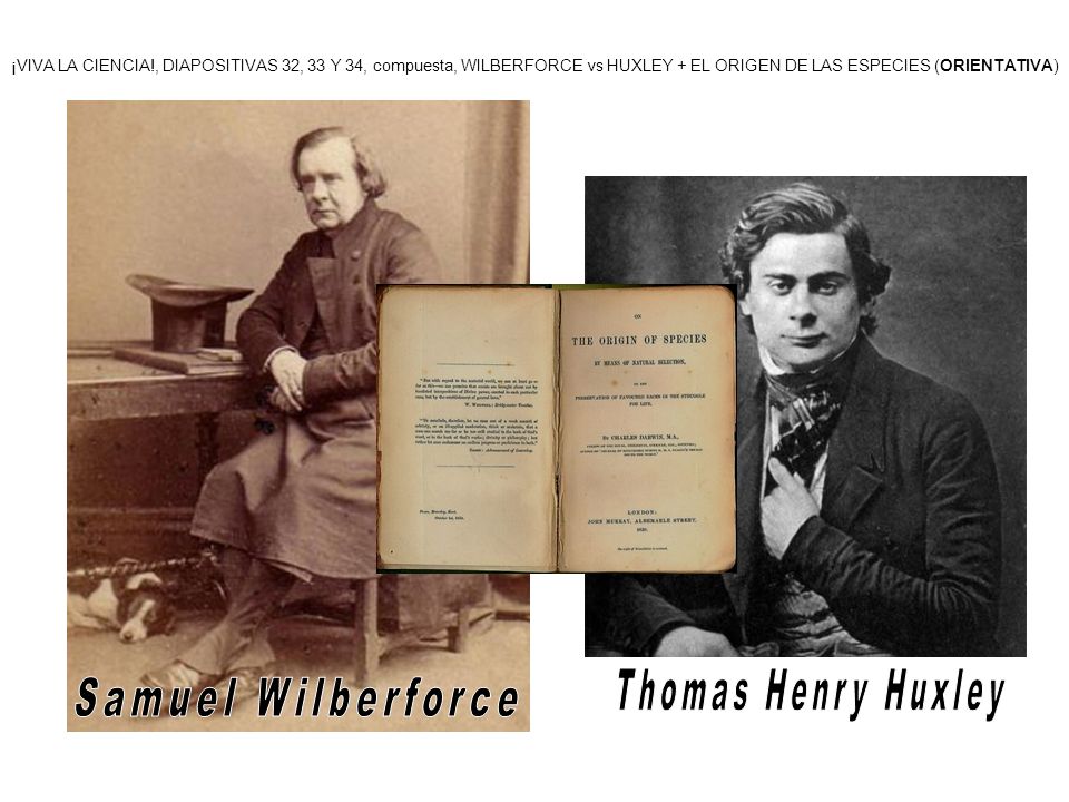 Thomas Henry Huxley Samuel Wilberforce
