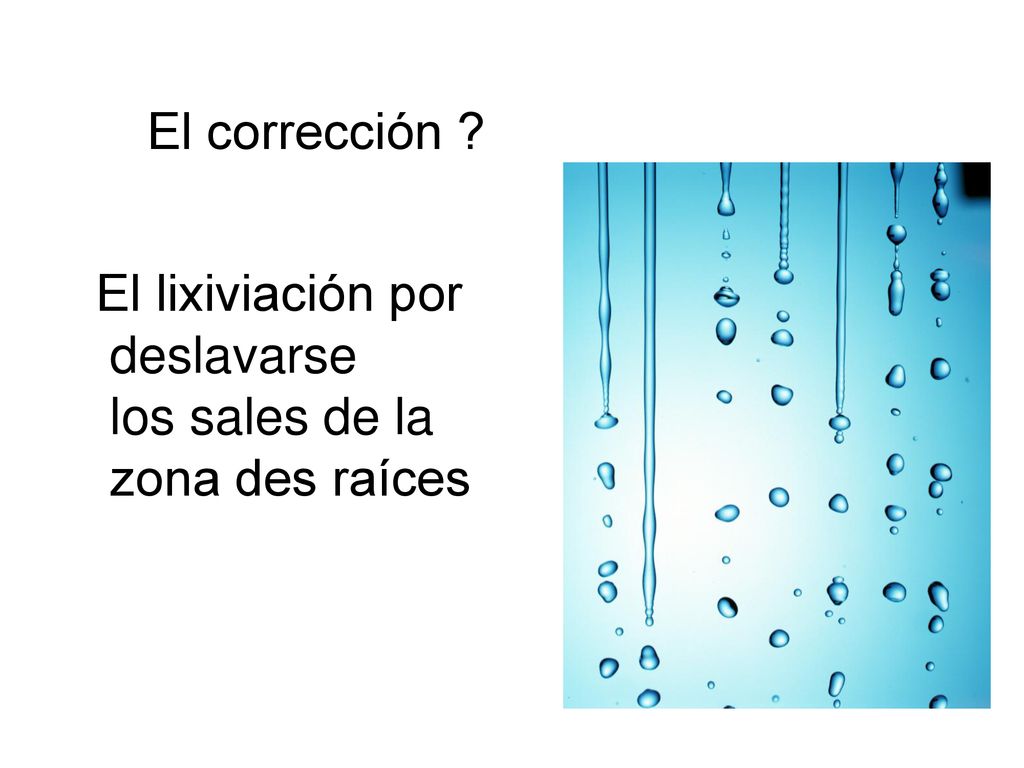 El corrección El lixiviación por deslavarse los sales de la zona des raíces