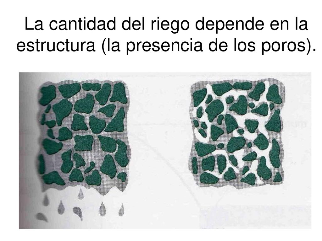 La cantidad del riego depende en la estructura (la presencia de los poros).