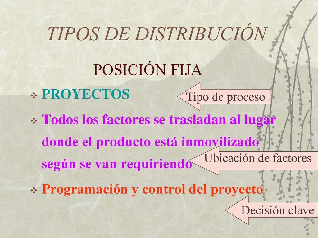 TIPOS DE DISTRIBUCIÓN POSICIÓN FIJA PROYECTOS