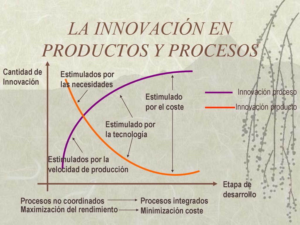 LA INNOVACIÓN EN PRODUCTOS Y PROCESOS