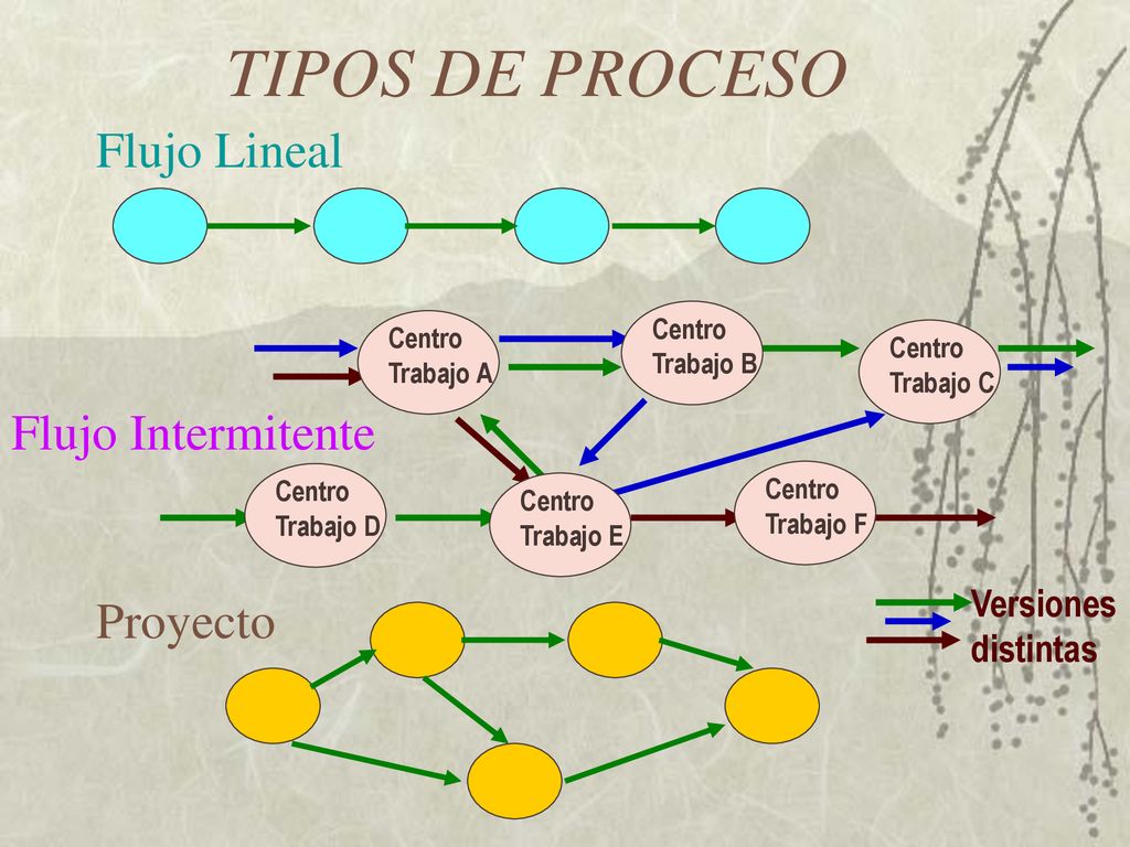TIPOS DE PROCESO Flujo Lineal Flujo Intermitente Proyecto Versiones