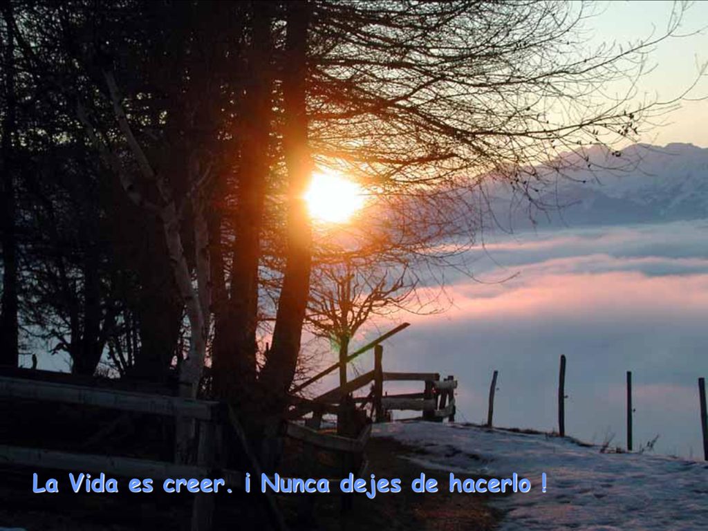 La Vida es creer. ¡ Nunca dejes de hacerlo !