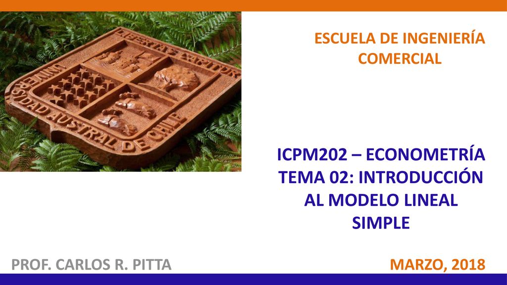 ICPM202 – ECONOMETRÍA tema 02: INTRODUCCIÓN AL MODELO LINEAL SIMPLE