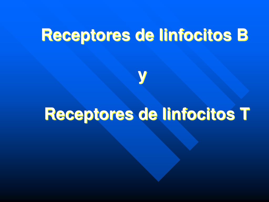 Receptores de linfocitos B Receptores de linfocitos T