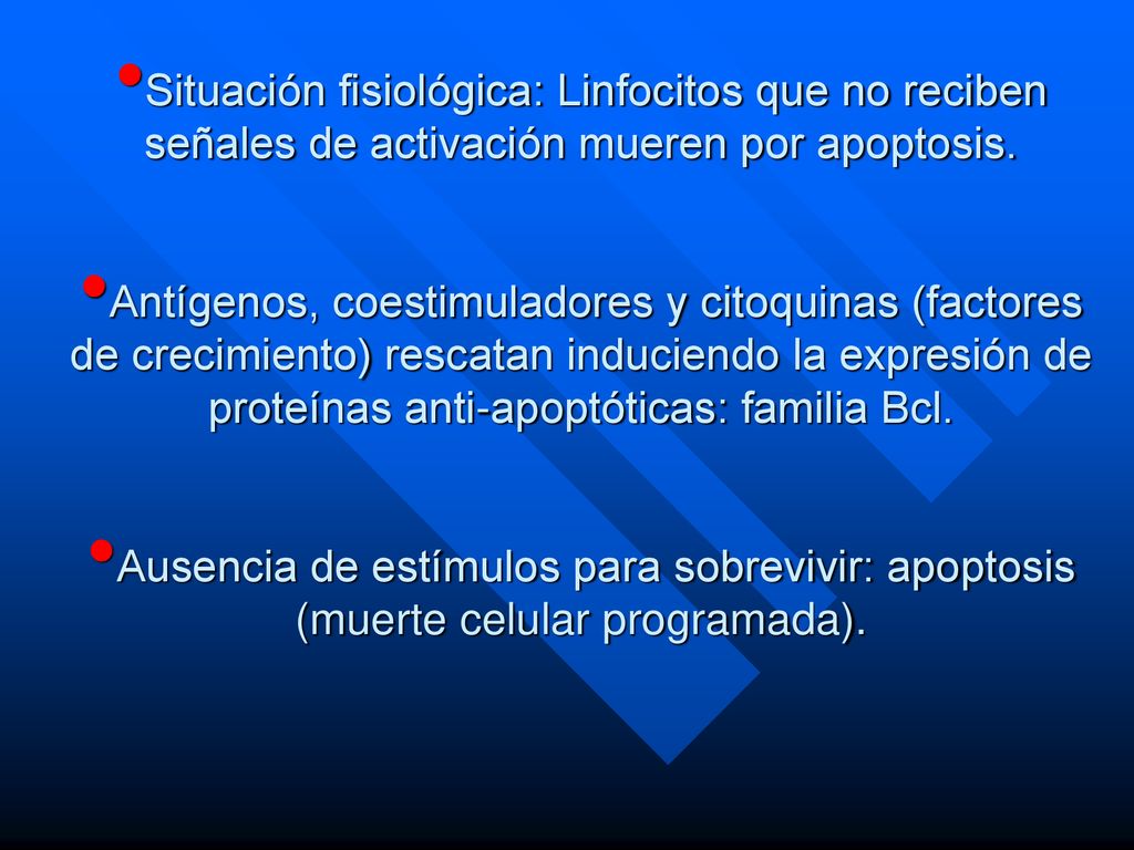 Situación fisiológica: Linfocitos que no reciben señales de activación mueren por apoptosis.