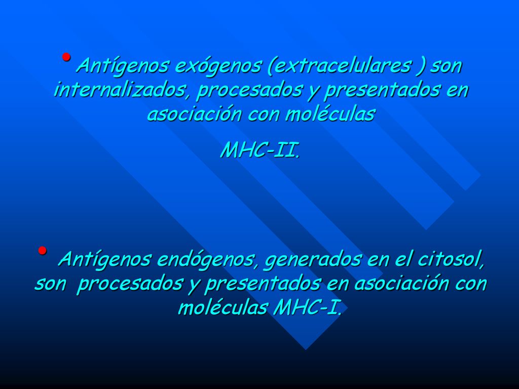 Antígenos exógenos (extracelulares ) son internalizados, procesados y presentados en asociación con moléculas