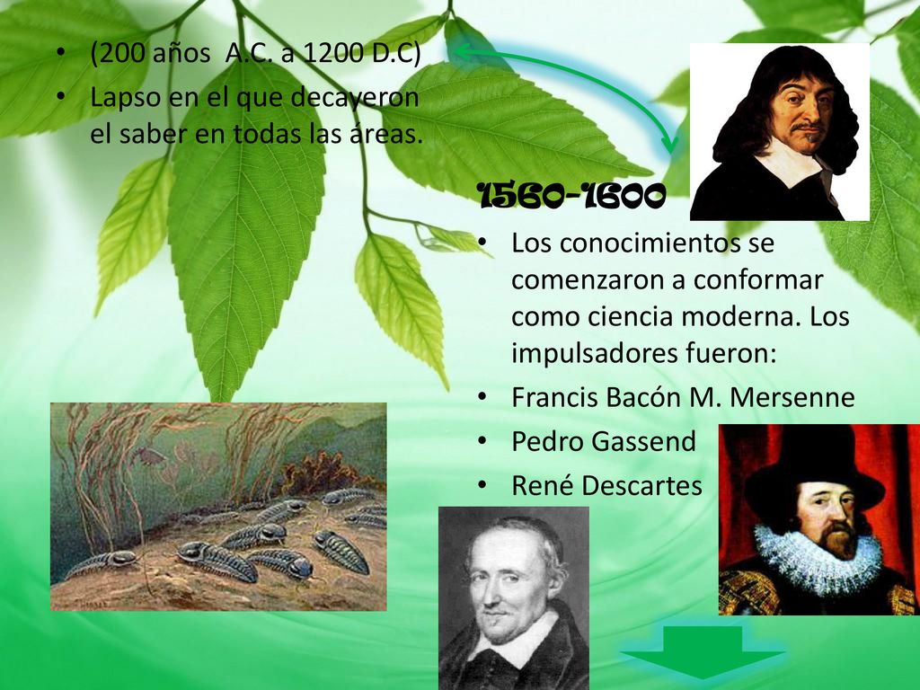 (200 años A.C. a 1200 D.C) Lapso en el que decayeron el saber en todas las áreas