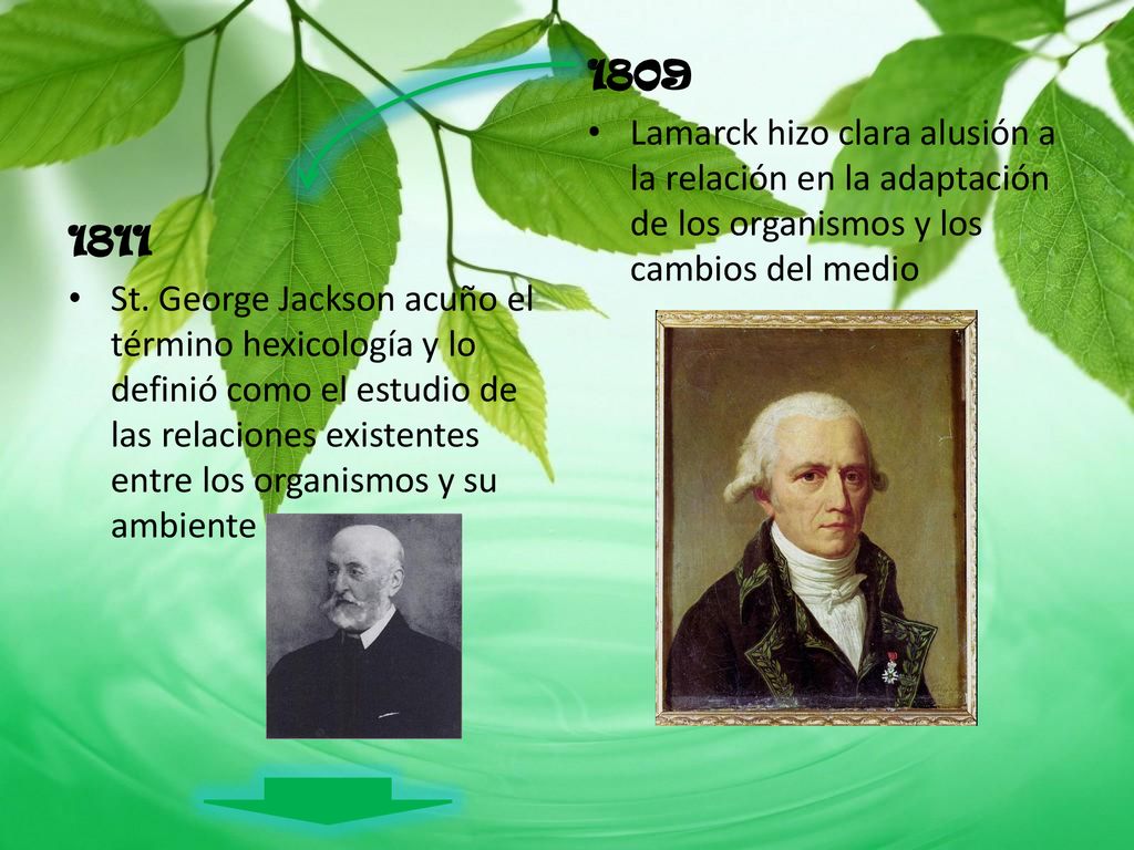 1809 Lamarck hizo clara alusión a la relación en la adaptación de los organismos y los cambios del medio.
