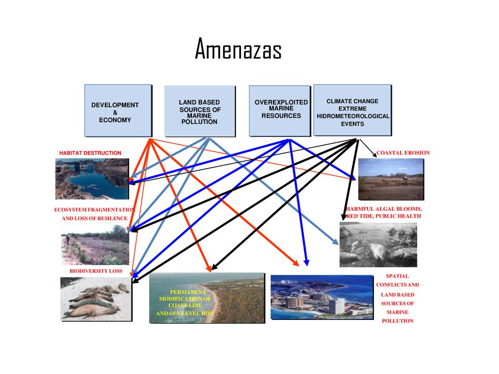 Amenazas DEVELOPMENT & ECONOMY LAND BASED SOURCES OF MARINE POLLUTION