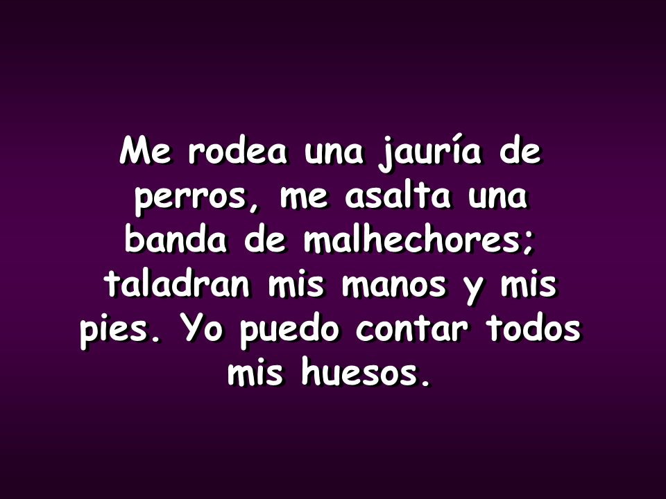 Me rodea una jauría de perros, me asalta una banda de malhechores; taladran mis manos y mis pies.
