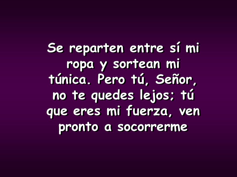 Se reparten entre sí mi ropa y sortean mi túnica