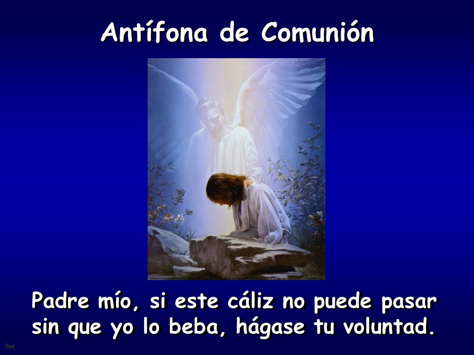 Antífona de Comunión Padre mío, si este cáliz no puede pasar sin que yo lo beba, hágase tu voluntad.