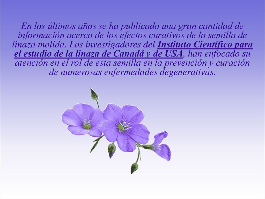 En los últimos años se ha publicado una gran cantidad de información acerca de los efectos curativos de la semilla de linaza molida.
