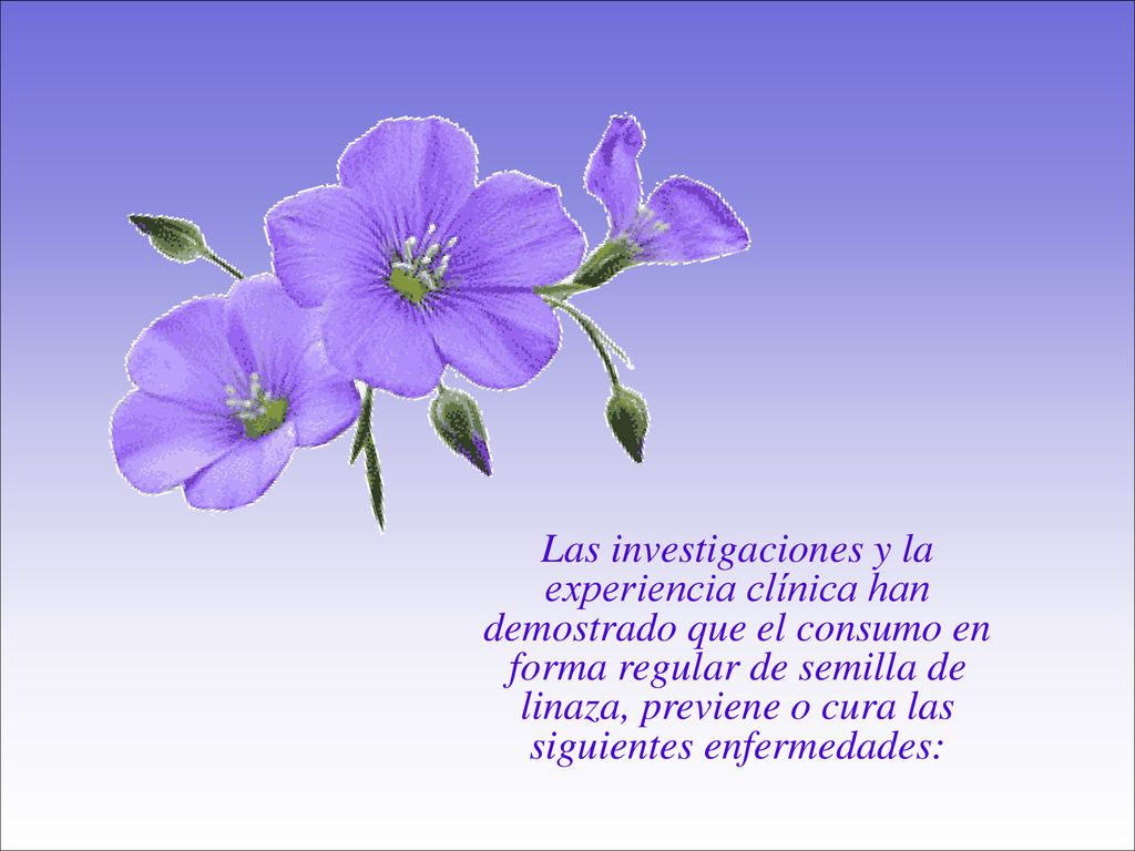 Las investigaciones y la experiencia clínica han demostrado que el consumo en forma regular de semilla de linaza, previene o cura las siguientes enfermedades: