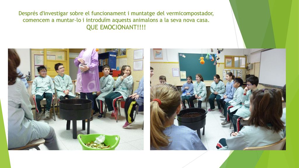 Després d investigar sobre el funcionament i muntatge del vermicompostador, comencem a muntar-lo i introduïm aquests animalons a la seva nova casa.