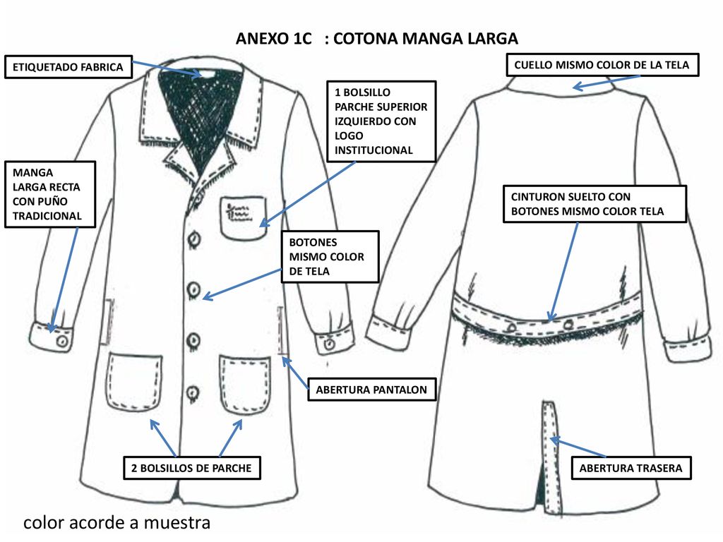 color acorde a muestra ANEXO 1C : COTONA MANGA LARGA