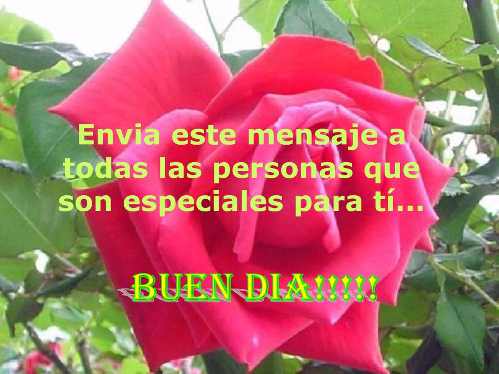 Envia este mensaje a todas las personas que son especiales para tí...