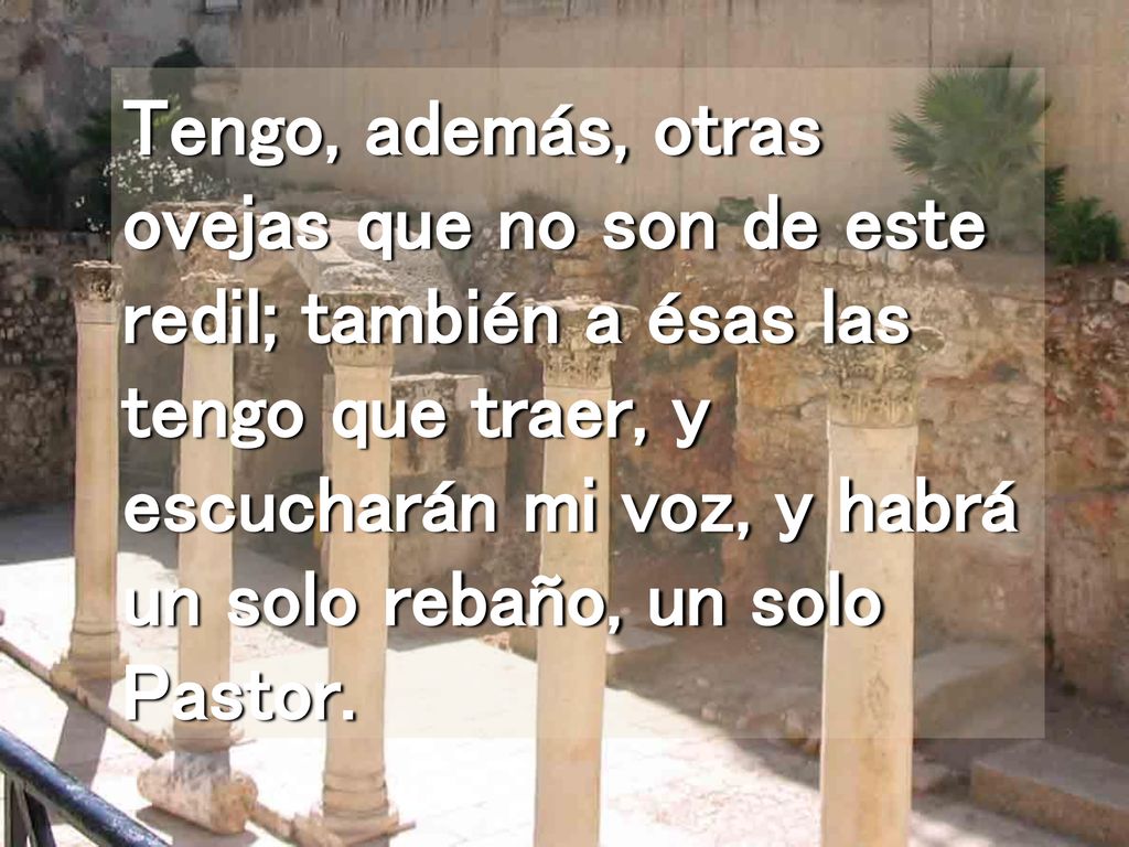 Tengo, además, otras ovejas que no son de este redil; también a ésas las tengo que traer, y escucharán mi voz, y habrá un solo rebaño, un solo Pastor.