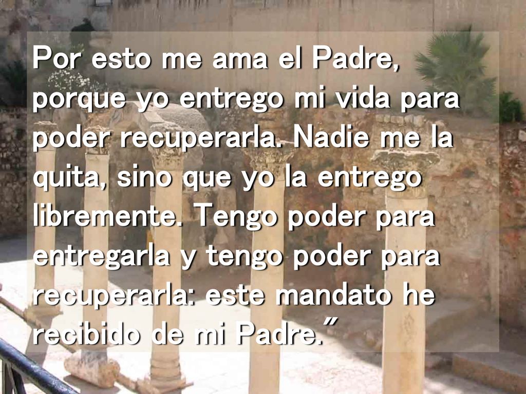 Por esto me ama el Padre, porque yo entrego mi vida para poder recuperarla.