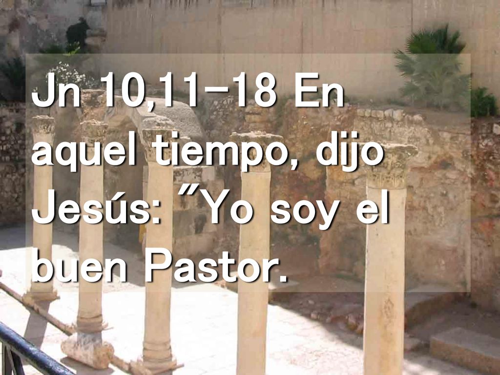 Jn 10,11-18 En aquel tiempo, dijo Jesús: Yo soy el buen Pastor.