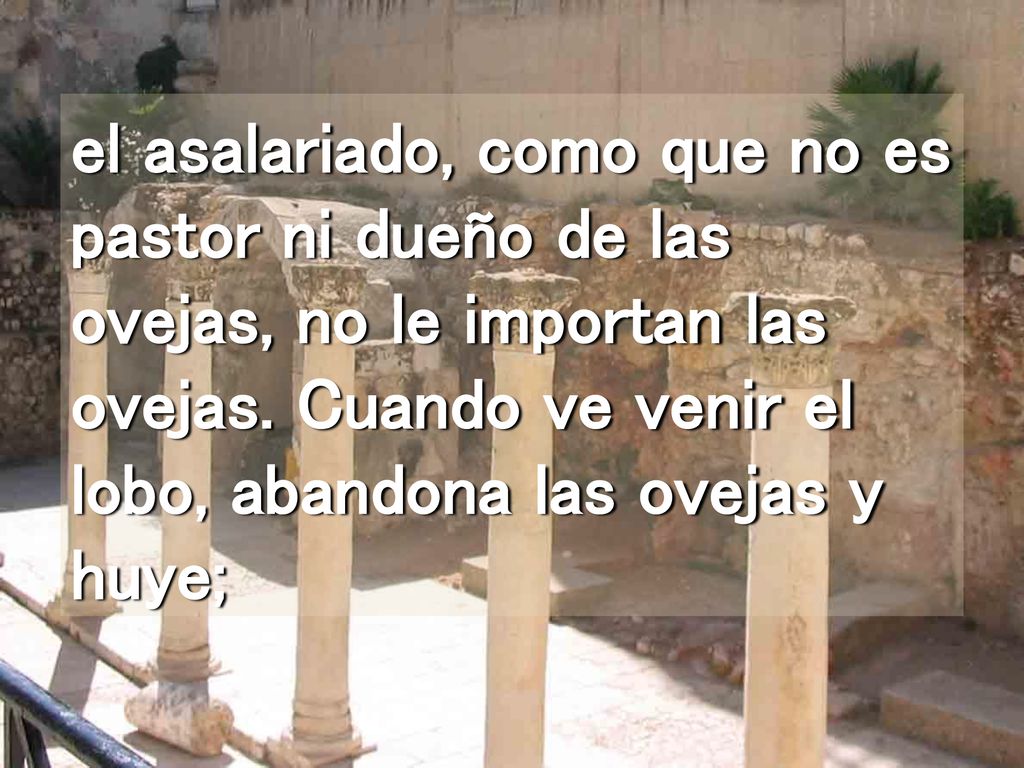 el asalariado, como que no es pastor ni dueño de las ovejas, no le importan las ovejas.