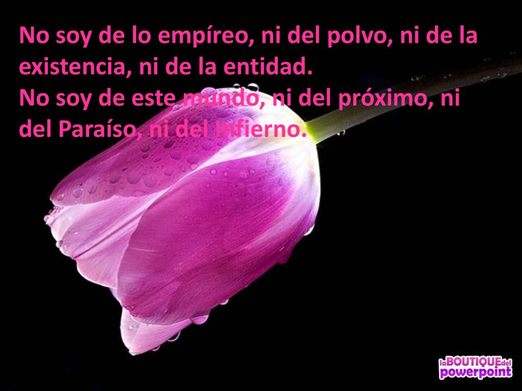 No soy de lo empíreo, ni del polvo, ni de la existencia, ni de la entidad.