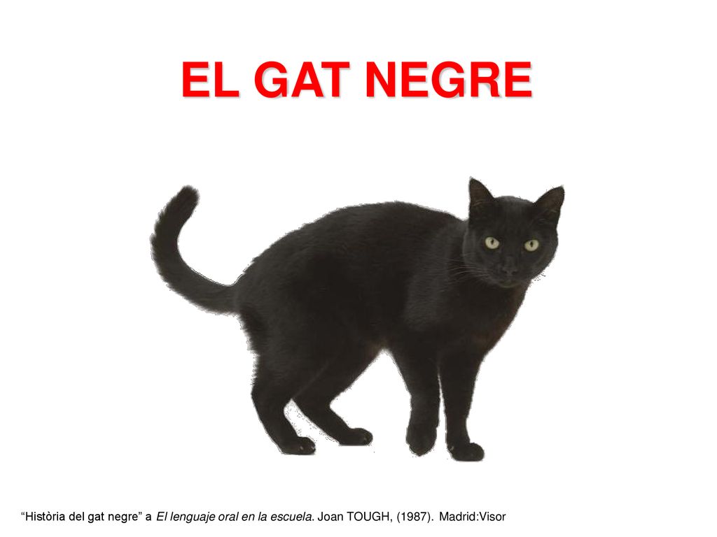 EL GAT NEGRE Història del gat negre a El lenguaje oral en la escuela.