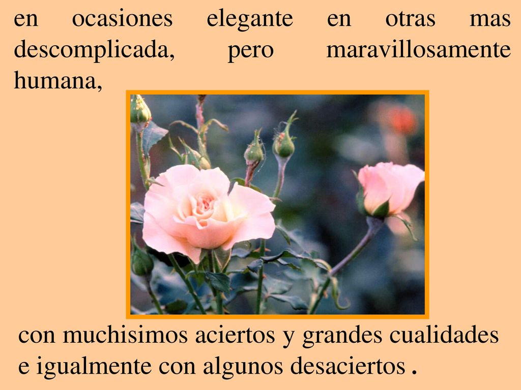 en ocasiones elegante en otras mas descomplicada, pero maravillosamente humana,