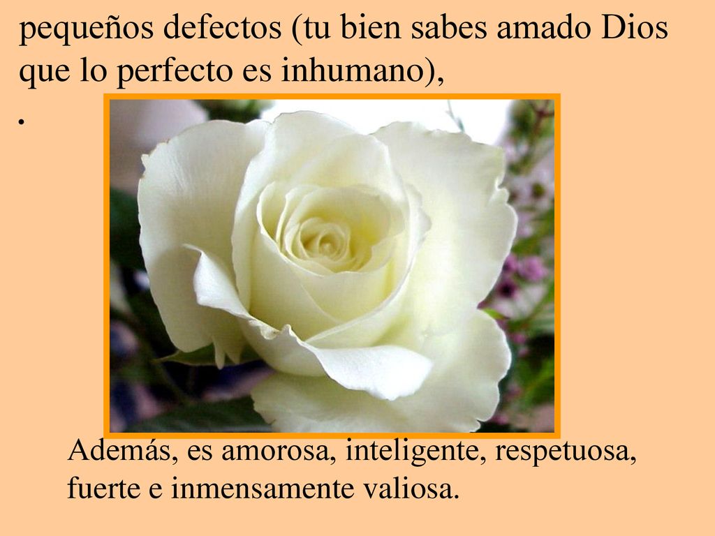 pequeños defectos (tu bien sabes amado Dios que lo perfecto es inhumano), .