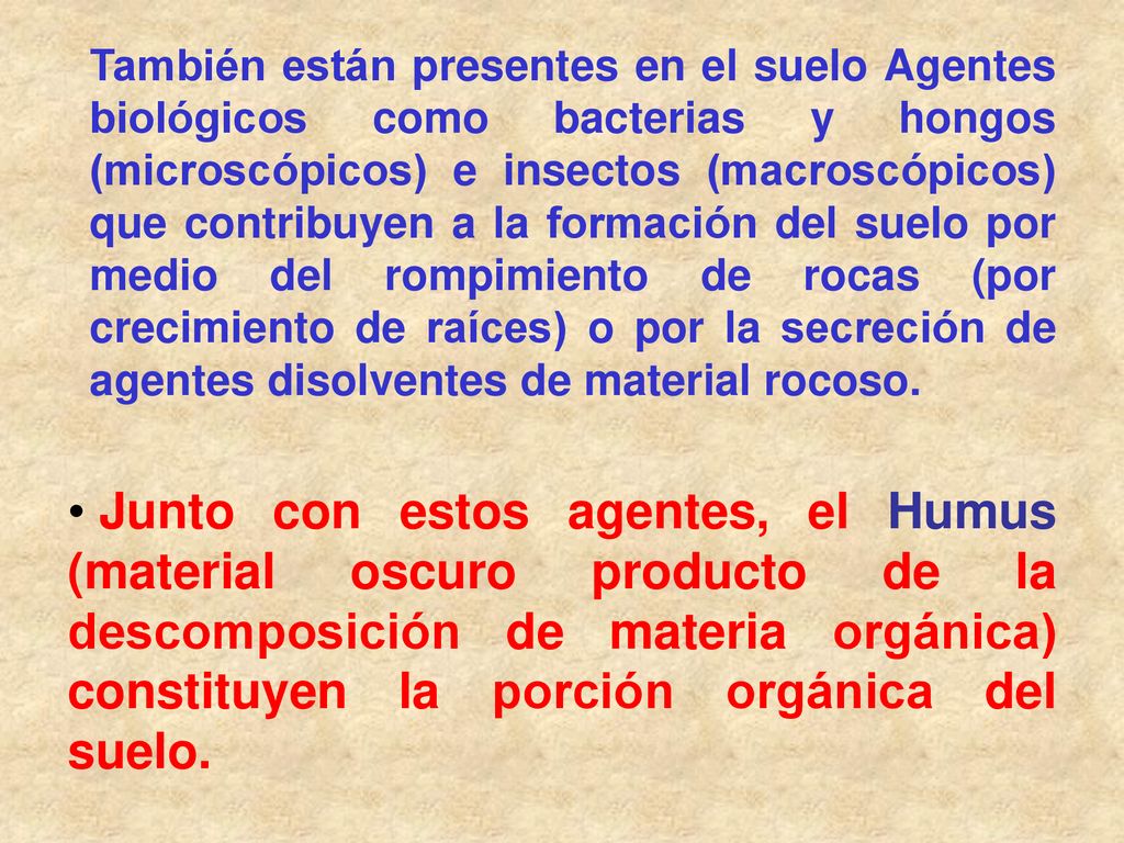 También están presentes en el suelo Agentes biológicos como bacterias y hongos (microscópicos) e insectos (macroscópicos) que contribuyen a la formación del suelo por medio del rompimiento de rocas (por crecimiento de raíces) o por la secreción de agentes disolventes de material rocoso.