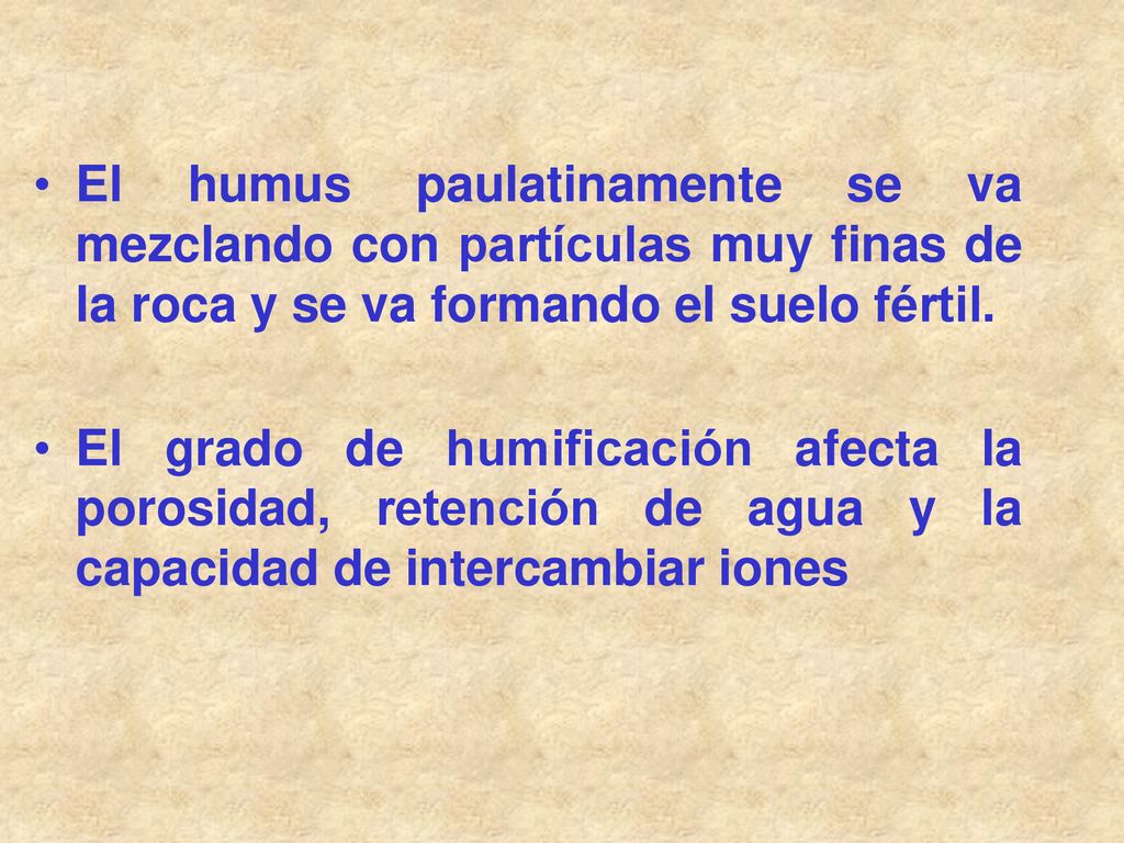 El humus paulatinamente se va mezclando con partículas muy finas de la roca y se va formando el suelo fértil.