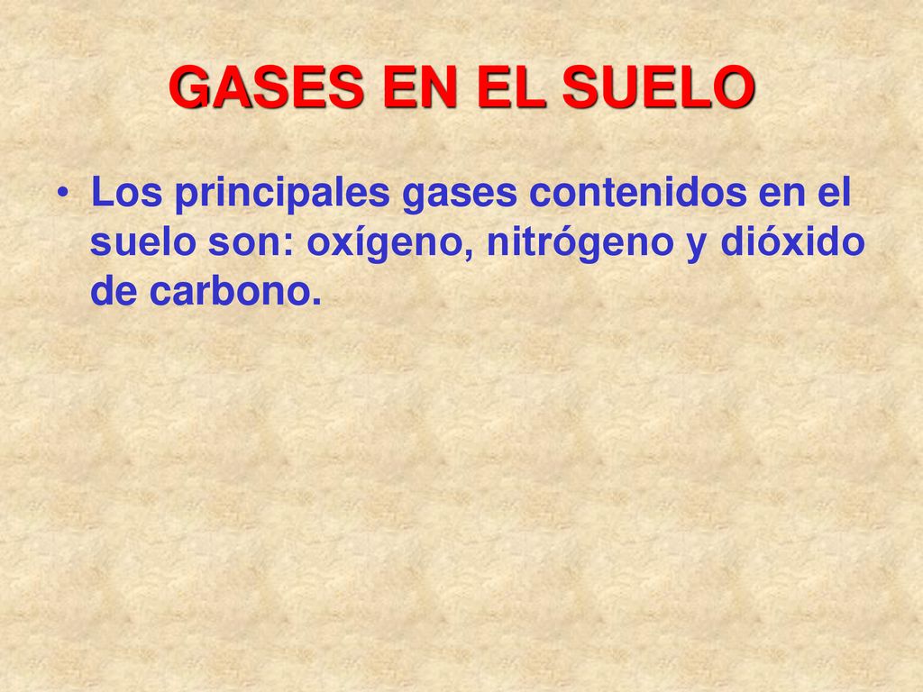 GASES EN EL SUELO Los principales gases contenidos en el suelo son: oxígeno, nitrógeno y dióxido de carbono.