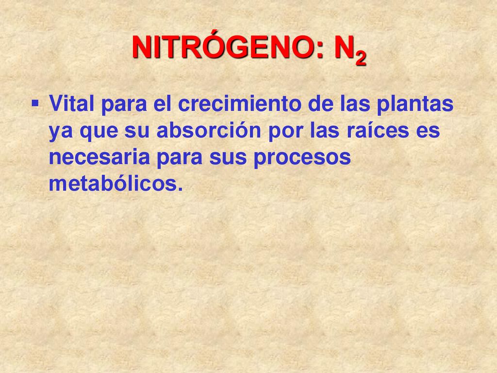 NITRÓGENO: N2 Vital para el crecimiento de las plantas ya que su absorción por las raíces es necesaria para sus procesos metabólicos.