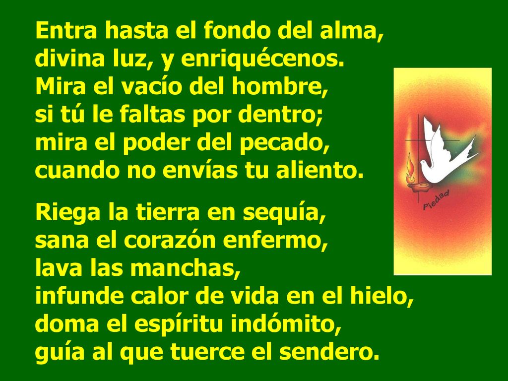 Entra hasta el fondo del alma, divina luz, y enriquécenos