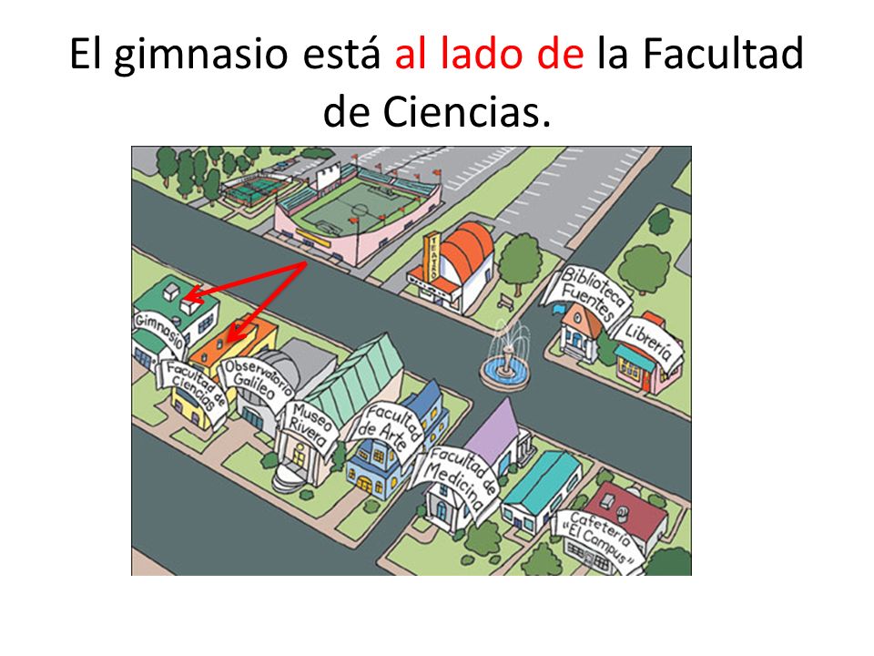 El gimnasio está al lado de la Facultad de Ciencias.