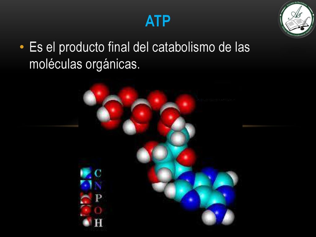 Es el producto final del catabolismo de las moléculas orgánicas.