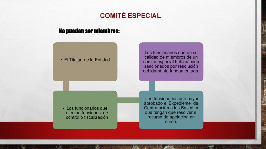 COMITÉ ESPECIAL No pueden ser miembros: El Titular de la Entidad