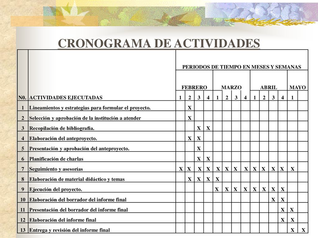 CRONOGRAMA DE ACTIVIDADES PERIODOS DE TIEMPO EN MESES Y SEMANAS