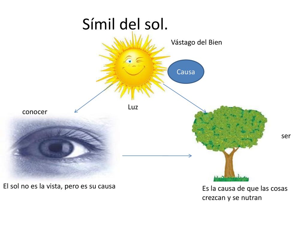 Símil del sol. Vástago del Bien Causa Luz conocer ser