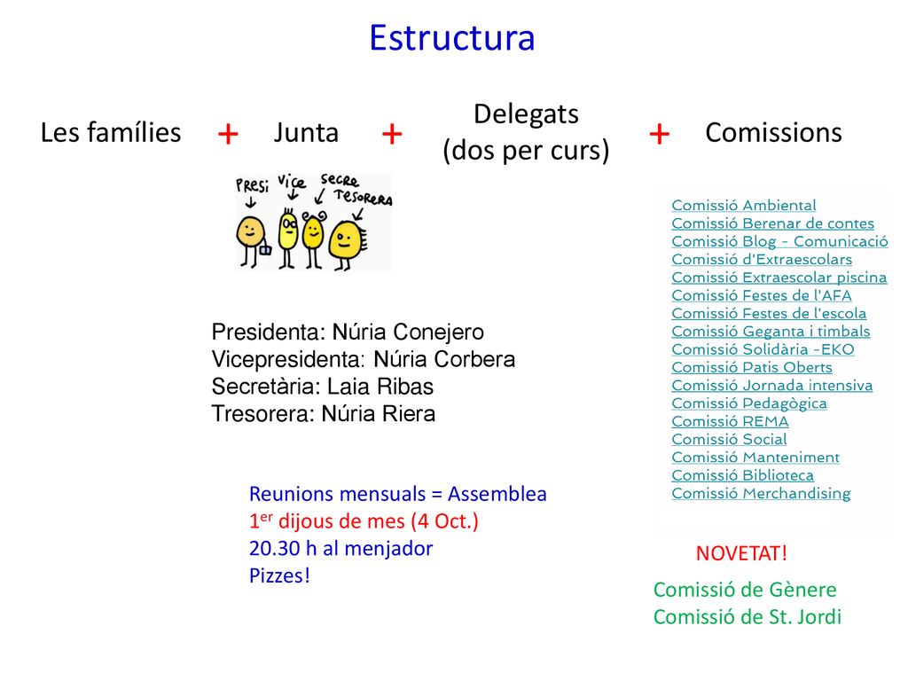 + + + Estructura Delegats (dos per curs) Les famílies Junta Comissions