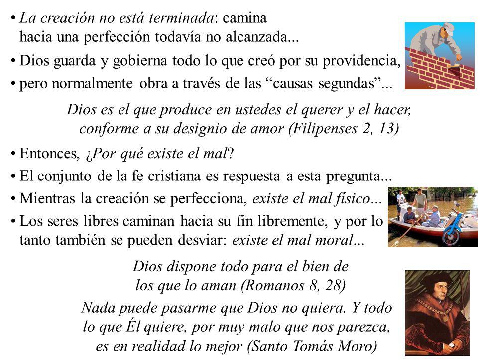 Dios dispone todo para el bien de los que lo aman (Romanos 8, 28)