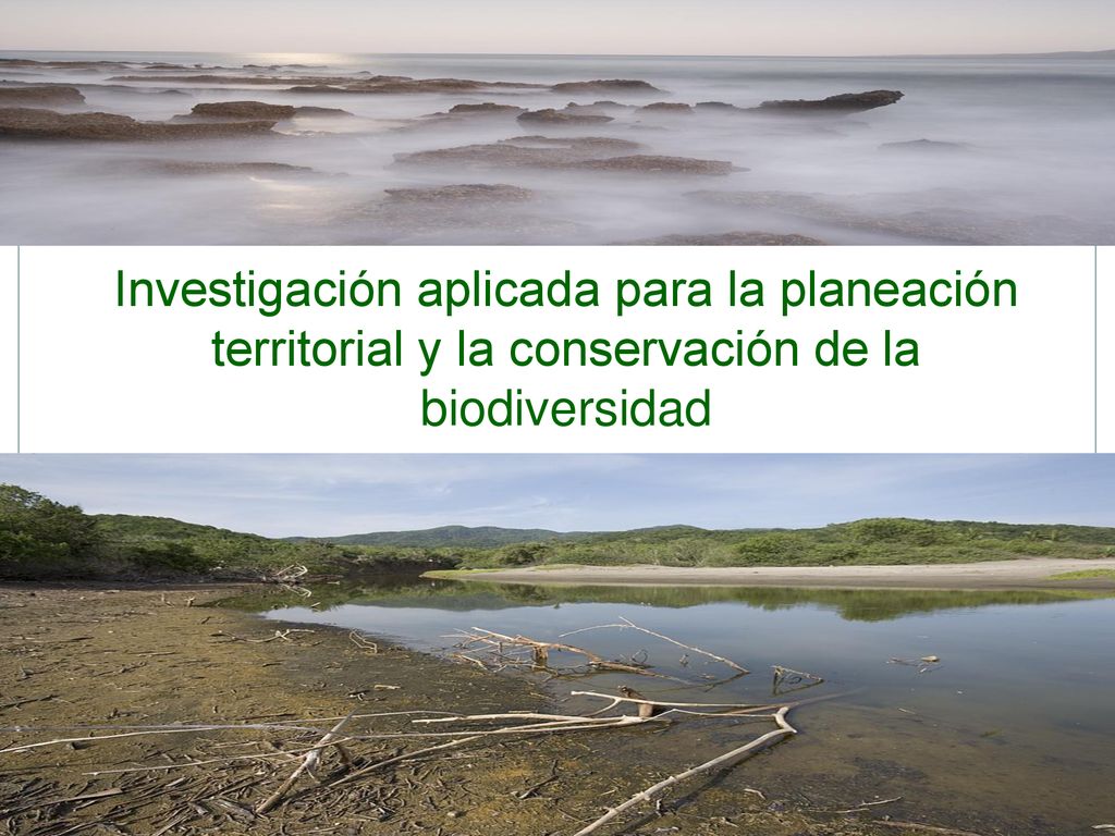 Investigación aplicada para la planeación territorial y la conservación de la biodiversidad