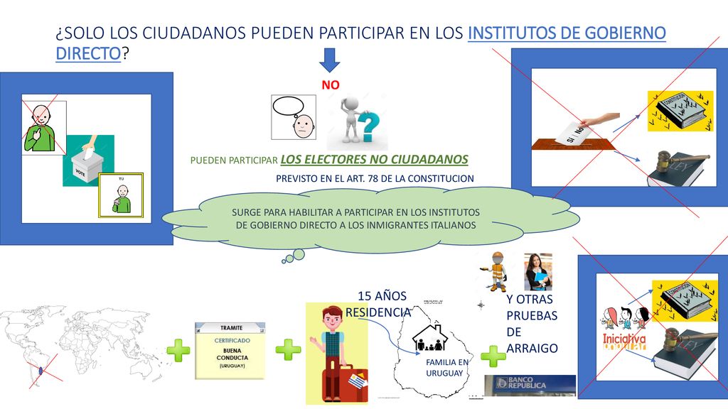 ¿SOLO LOS CIUDADANOS PUEDEN PARTICIPAR EN LOS INSTITUTOS DE GOBIERNO DIRECTO