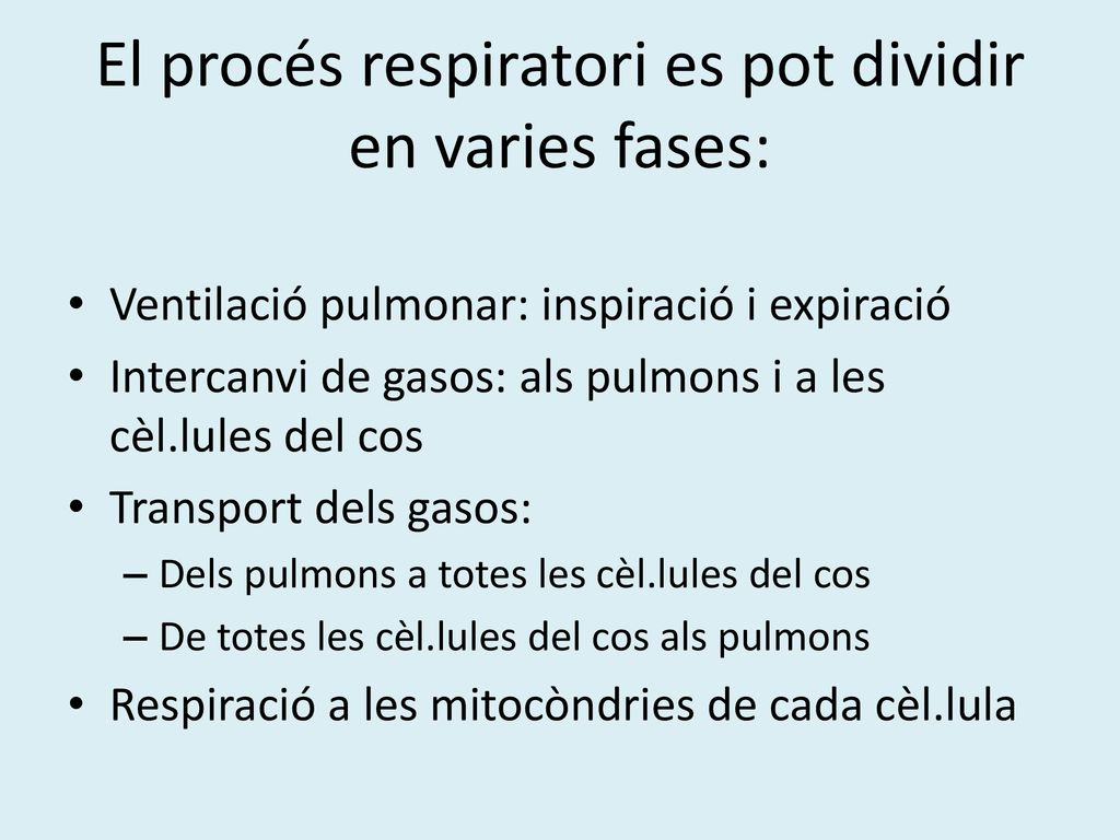 El procés respiratori es pot dividir en varies fases: