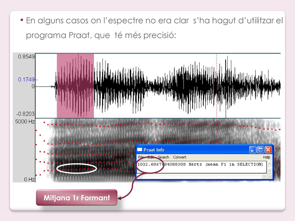 En alguns casos on l’espectre no era clar s’ha hagut d’utilitzar el programa Praat, que té més precisió: