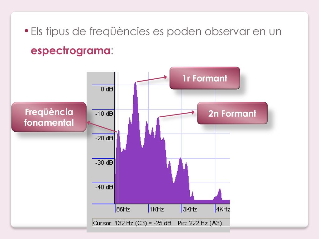 Els tipus de freqüències es poden observar en un espectrograma: