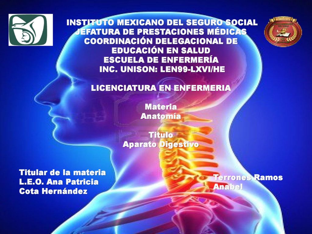 INSTITUTO MEXICANO DEL SEGURO SOCIAL JEFATURA DE PRESTACIONES MÉDICAS COORDINACIÓN DELEGACIONAL DE EDUCACIÓN EN SALUD ESCUELA DE ENFERMERÍA INC. UNISON: LEN99-LXVI/HE LICENCIATURA EN ENFERMERIA Materia Anatomía Titulo Aparato Digestivo
